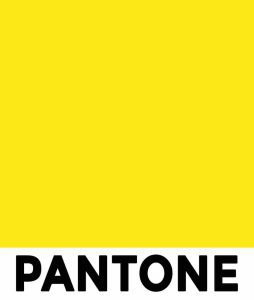 PANTONE 803c