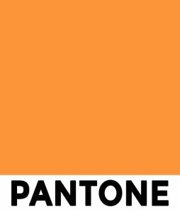 PANTONE 804c