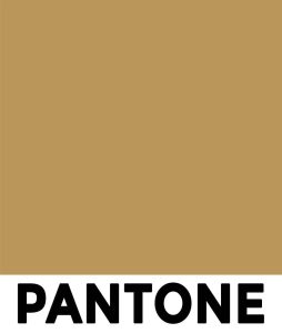 PANTONE Gold 872